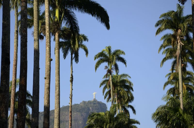 Além de entrar em contato com várias espécies de plantas, os visitantes do Jardim Botânico do Rio de Janeiro contam com uma bela visão do Cristo Redentor
