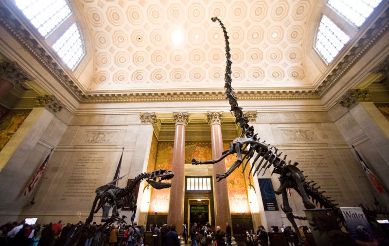 O Museu de História Natural de Nova York é uma boa pedida para os fãs de dinossauros. O local serviu de cenário de gravações para a famosa comédia "Uma Noite no Museu"