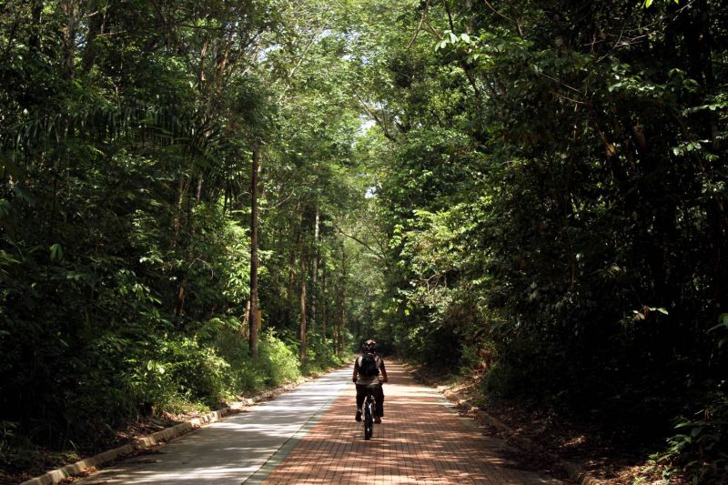 Parque Estadual do Utinga tem trilhas, rapel e ciclismo na Floresta Amazônica