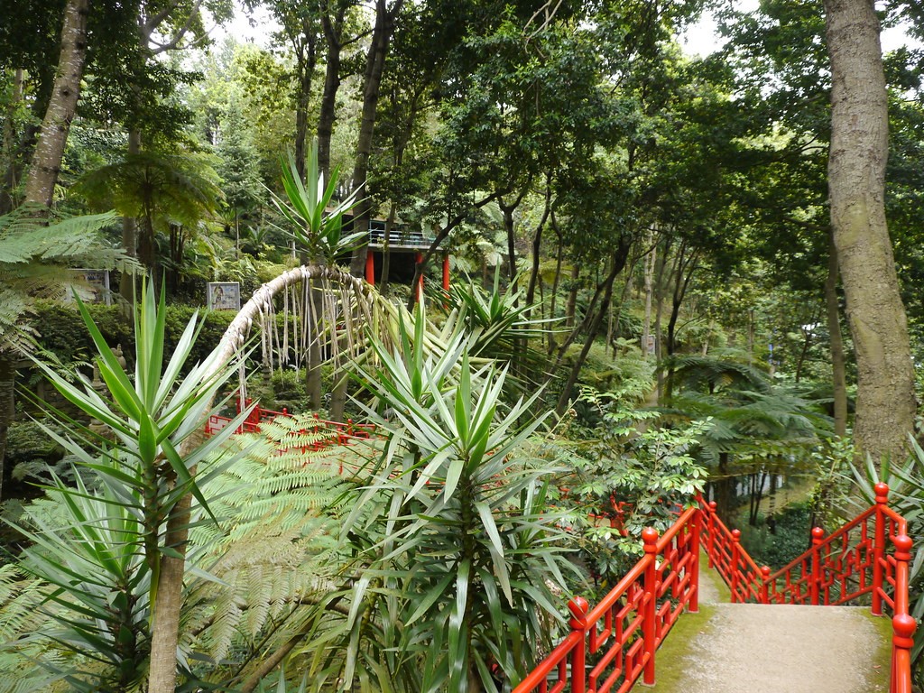O Jardim Tropical de Monte Palace, na Ilha da Madeira, em Portugal, exibe plantas nativas de vários lugares do mundo