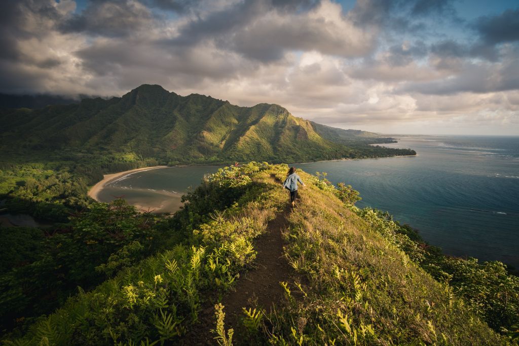 Penhascos, cachoeiras, florestas tropicais e praias; veja fotos incríveis do Havaí