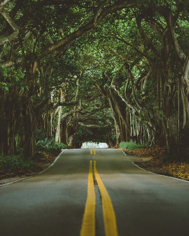 7 estradas incríveis para dirigir na Flórida