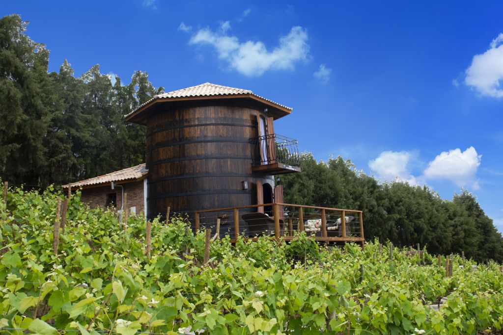 Tonéis de vinho são transformados em hospedagem em São Roque