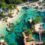 O que fazer no Discovery Cove, em Orlando – Atrações e dicas